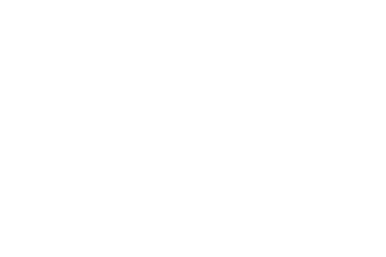Icon Implementierung