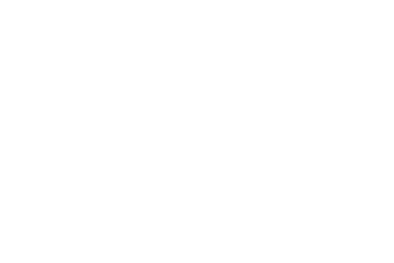 Icon Check-up